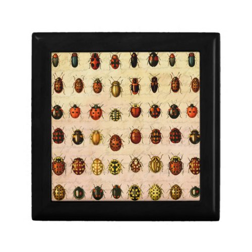 Ladybug Ladybird Beetle Insect Bug Gift Box