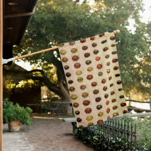 Ladybug Ladybird Beetle Insect Bug House Flag