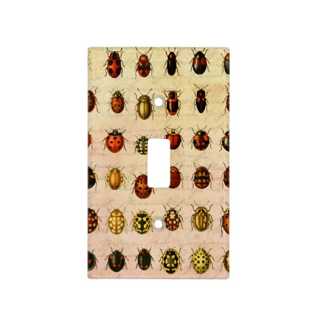 Ladybug Ladybird Beetle Insect Bug Light Switch Cover (Front)
