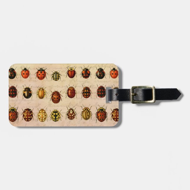 Ladybug Ladybird Beetle Insect Bug Luggage Tag (Front Horizontal)