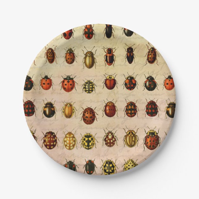 Ladybug Ladybird Beetle Insect Bug Paper Plates (Front)