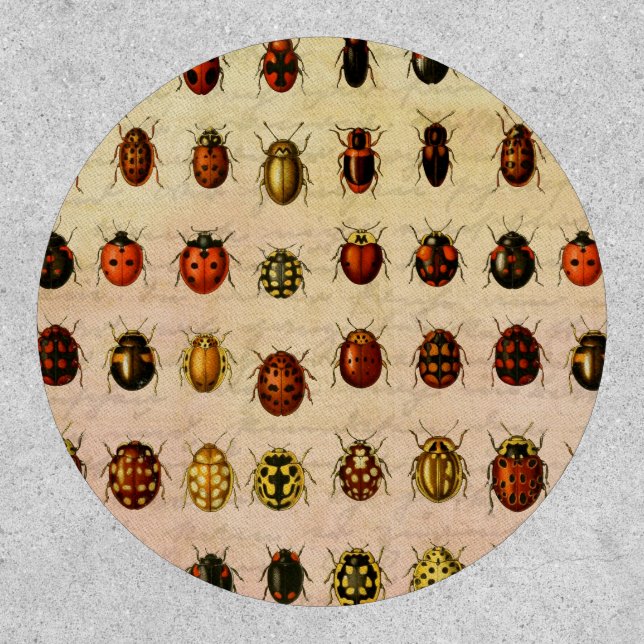 Ladybug Ladybird Beetle Insect Bug Patch (Front)