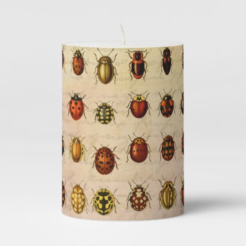 Ladybug Ladybird Beetle Insect Bug Pillar Candle