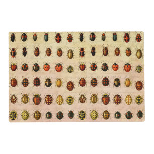 Ladybug Ladybird Beetle Insect Bug Placemat
