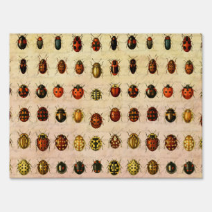 Ladybug Ladybird Beetle Insect Bug Sign
