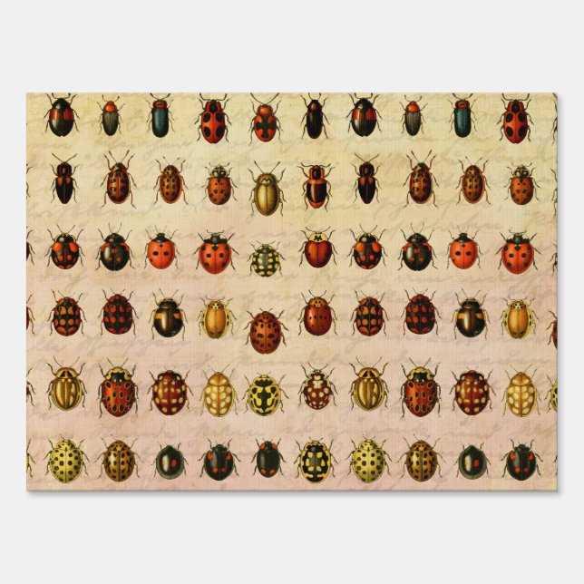 Ladybug Ladybird Beetle Insect Bug Sign (Front)