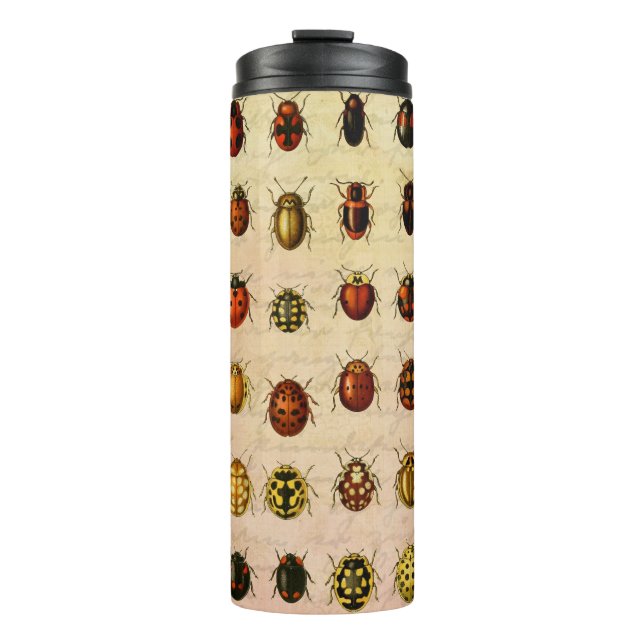 Ladybug Ladybird Beetle Insect Bug Thermal Tumbler (Front)