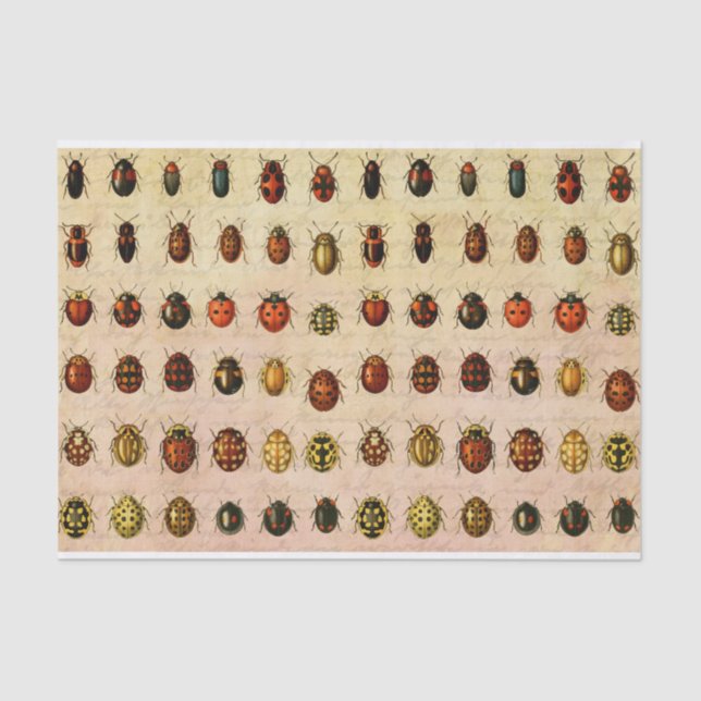 Ladybug Ladybird Beetle Insect Bug Tissue Paper (Front)