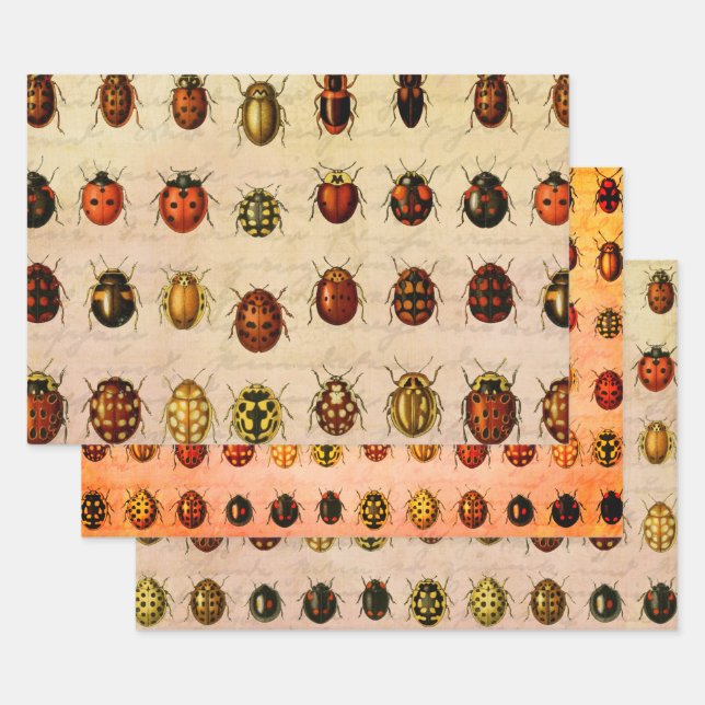 Ladybug Ladybird Beetle Insect Bug Wrapping Paper Sheets (Set)