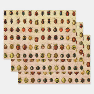 Ladybug Ladybird Beetle Insect Bug Wrapping Paper Sheets