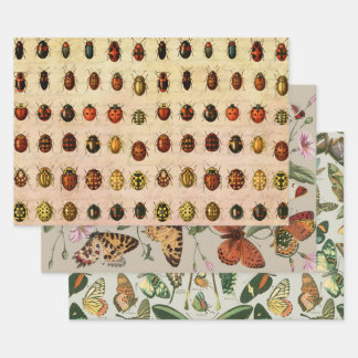 Ladybug Ladybird Beetle Insect Bug Wrapping Paper Sheets