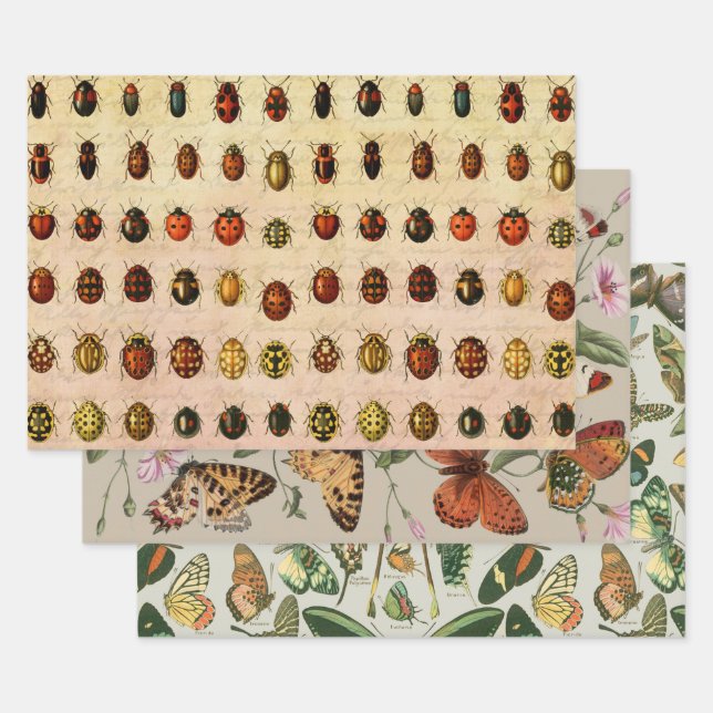 Ladybug Ladybird Beetle Insect Bug Wrapping Paper Sheets (Set)