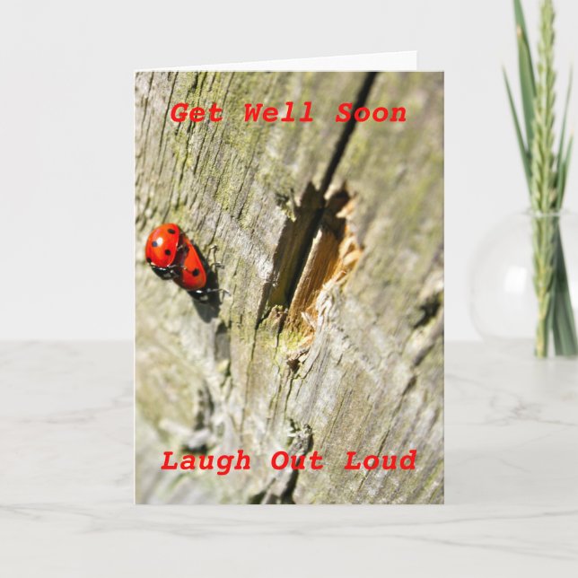Ladybug/Ladybird Get Well Soon Card (Front)