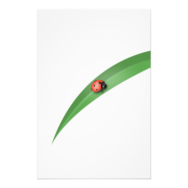 Ladybug Leaf Photo Print (Front)