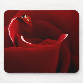 Ladybug Love Mouse Pad