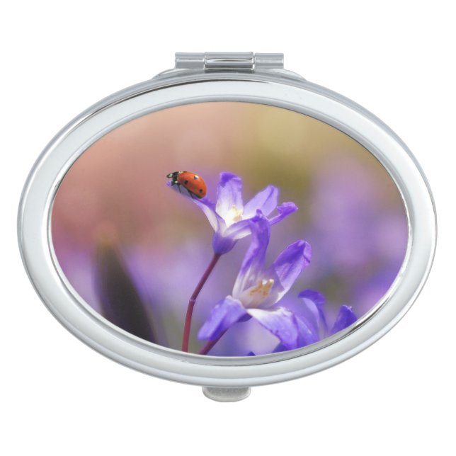 Ladybug Luck Custom Personalize Anniversaries Makeup Mirror (Front)
