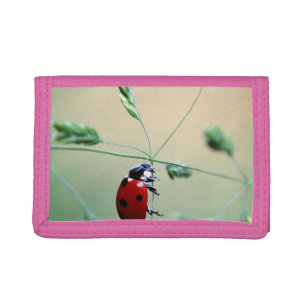 Ladybug Luck Custom Personalize Anniversaries Tri-fold Wallet