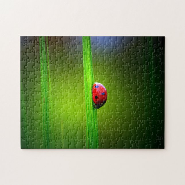 Ladybug Macro Colorful, Jigsaw Puzzle (Horizontal)