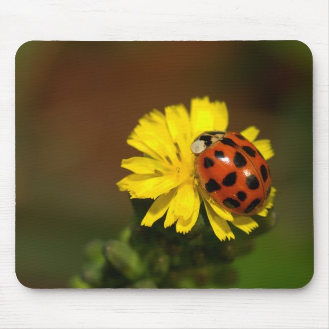 Ladybug Mouse Pad (Front)