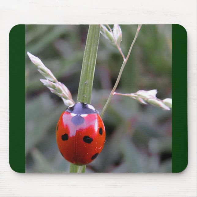 Ladybug Mousepad (Front)