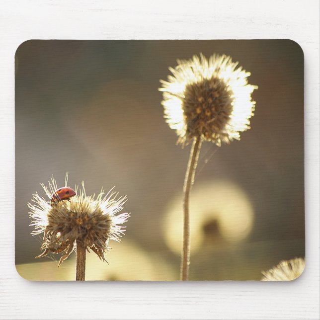 Ladybug Mousepad (Front)