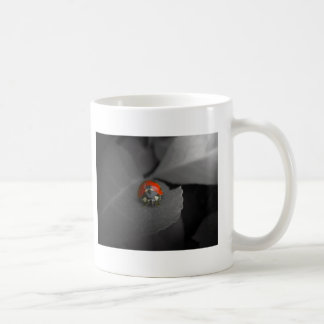 Ladybug Mug
