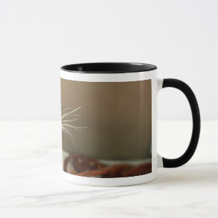 Ladybug Mug
