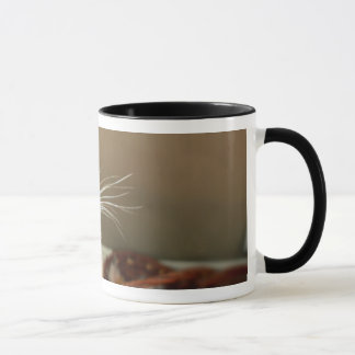 Ladybug Mug