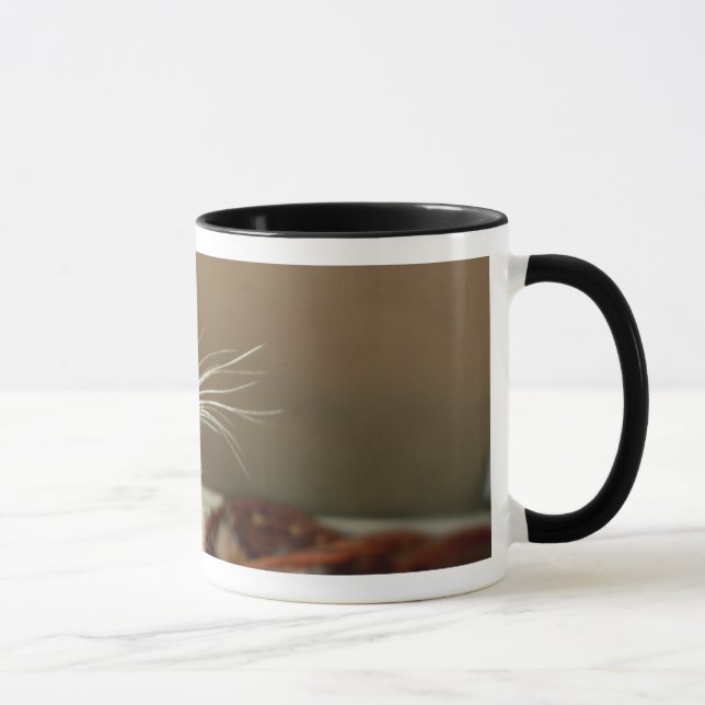 Ladybug Mug (Right)