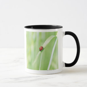 Ladybug Mug