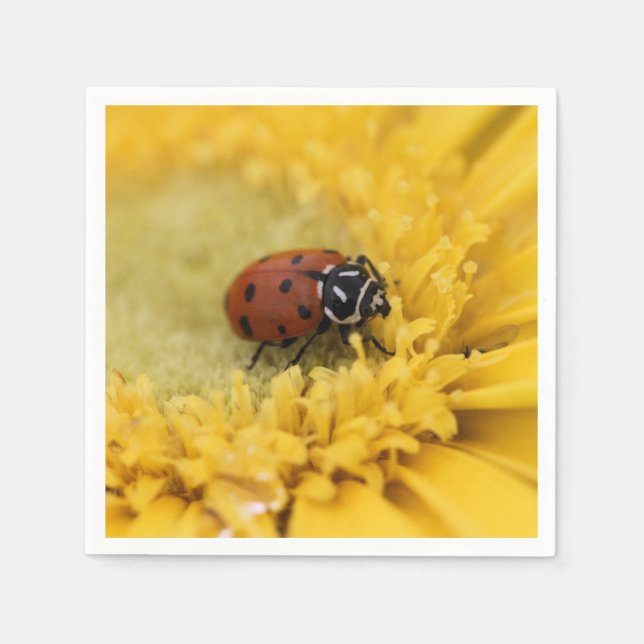 Ladybug     napkins (Front)