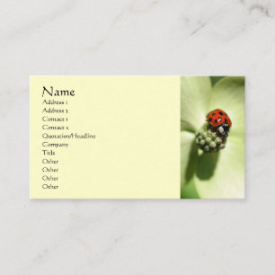 Ladybug Nature Photography Business Card