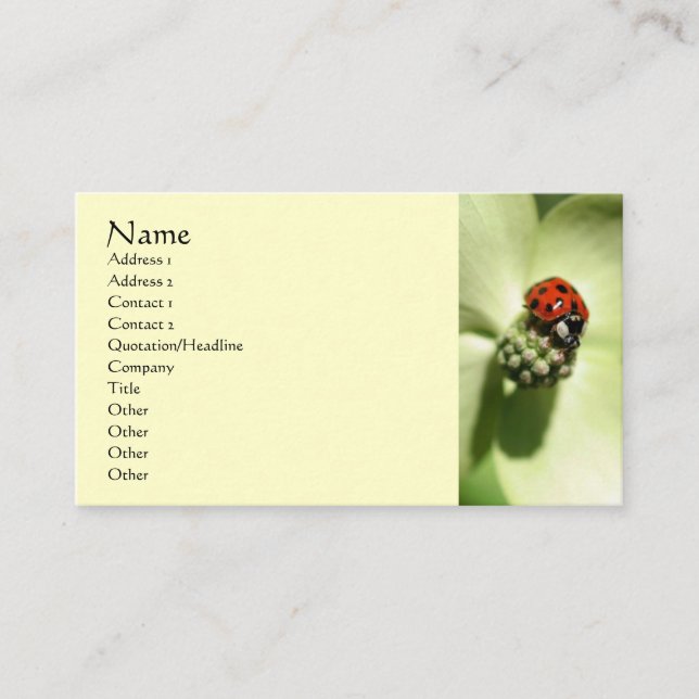 Ladybug Nature Photography Business Card (Front)