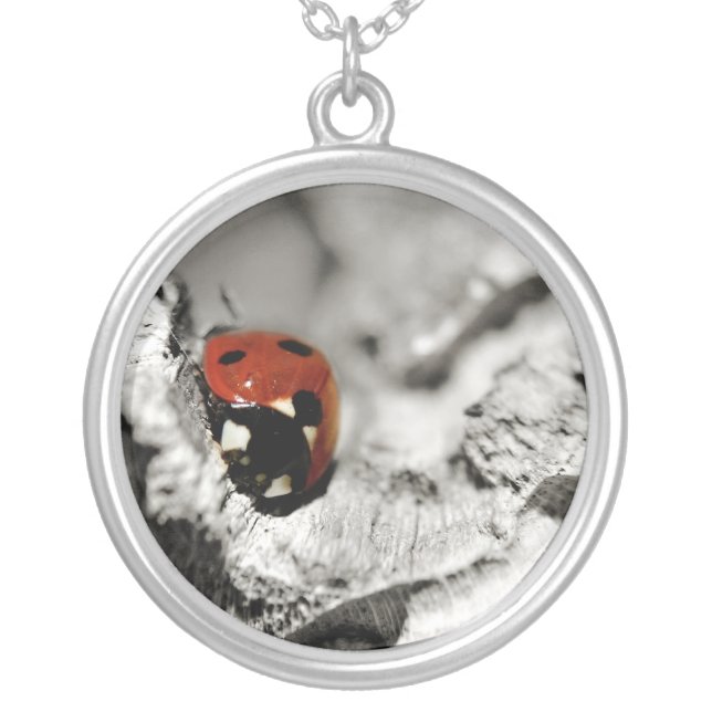 Ladybug Necklace (Front)
