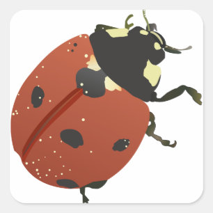 LadyBug Office Home Personalize Destiny Destiny'S Square Sticker
