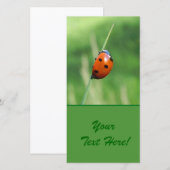 Ladybug on a blade of grass (Front/Back)