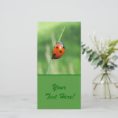 Ladybug on a blade of grass (Standing Front)