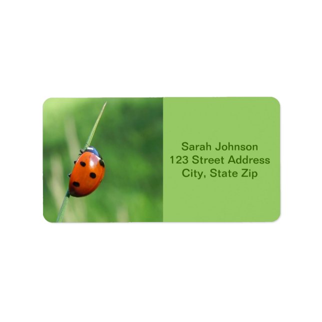 Ladybug on a blade of grass  Labels (Front)