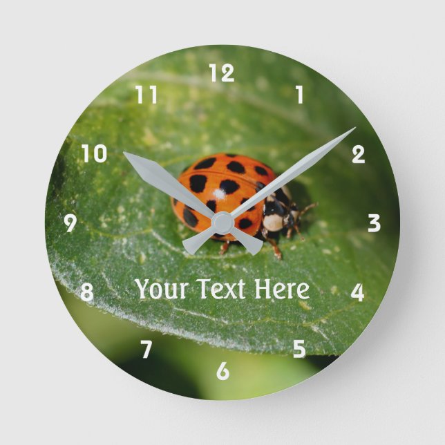Ladybug On A Leaf Nature Personalized Round Clock (Front)
