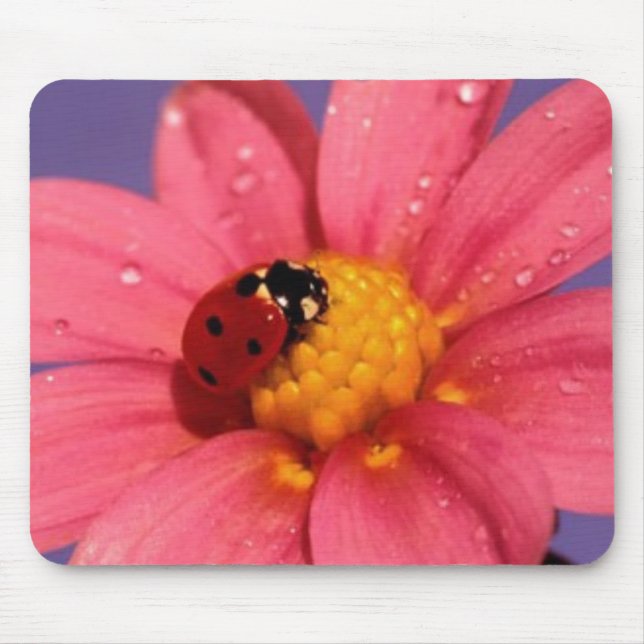 Ladybug On a Pink Daisy Mouse Pad (Front)