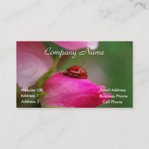 Ladybug on a rose business card