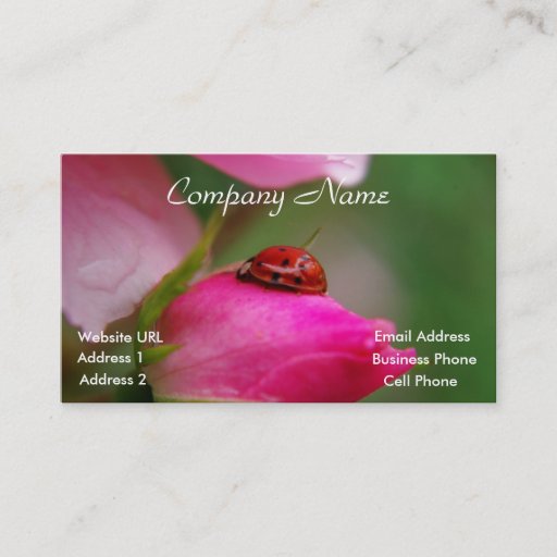 Customizable Ladybug on a rose business card