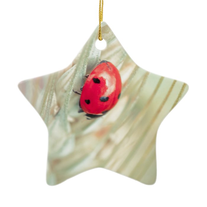 Ladybug on a spike christmas ornaments