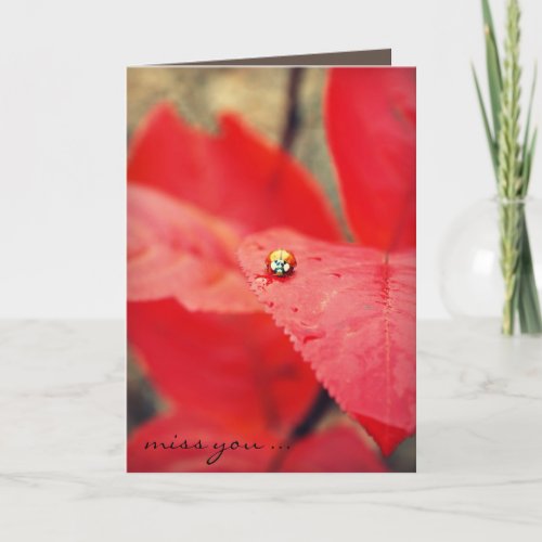 Ladybug on Autumn Leaves Miss You Card