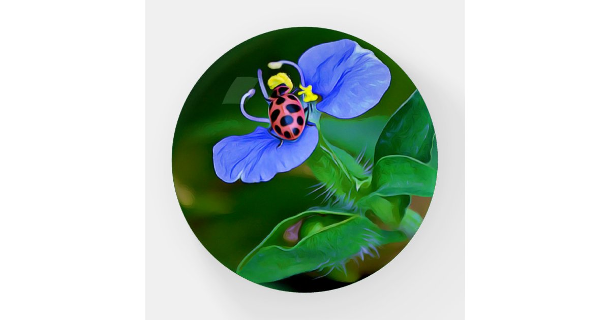 Blue Flower Paperweight