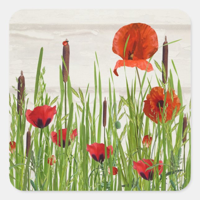 Ladybug on Cattail Square Sticker (Front)