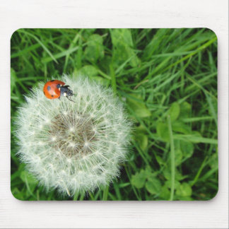 Ladybug on Dandelion Mouse Pad