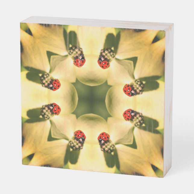 Ladybug On Dogwood Abstract Nature Art  Wooden Box Sign (Angled Vertical)