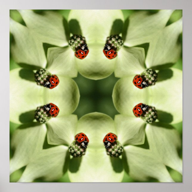 Ladybug On Dogwood Abstract Nature Mirror Art Poster (Front)