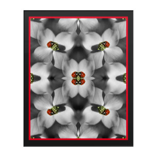 Ladybug On Dogwood Flower Abstract Nature   Acrylic Print